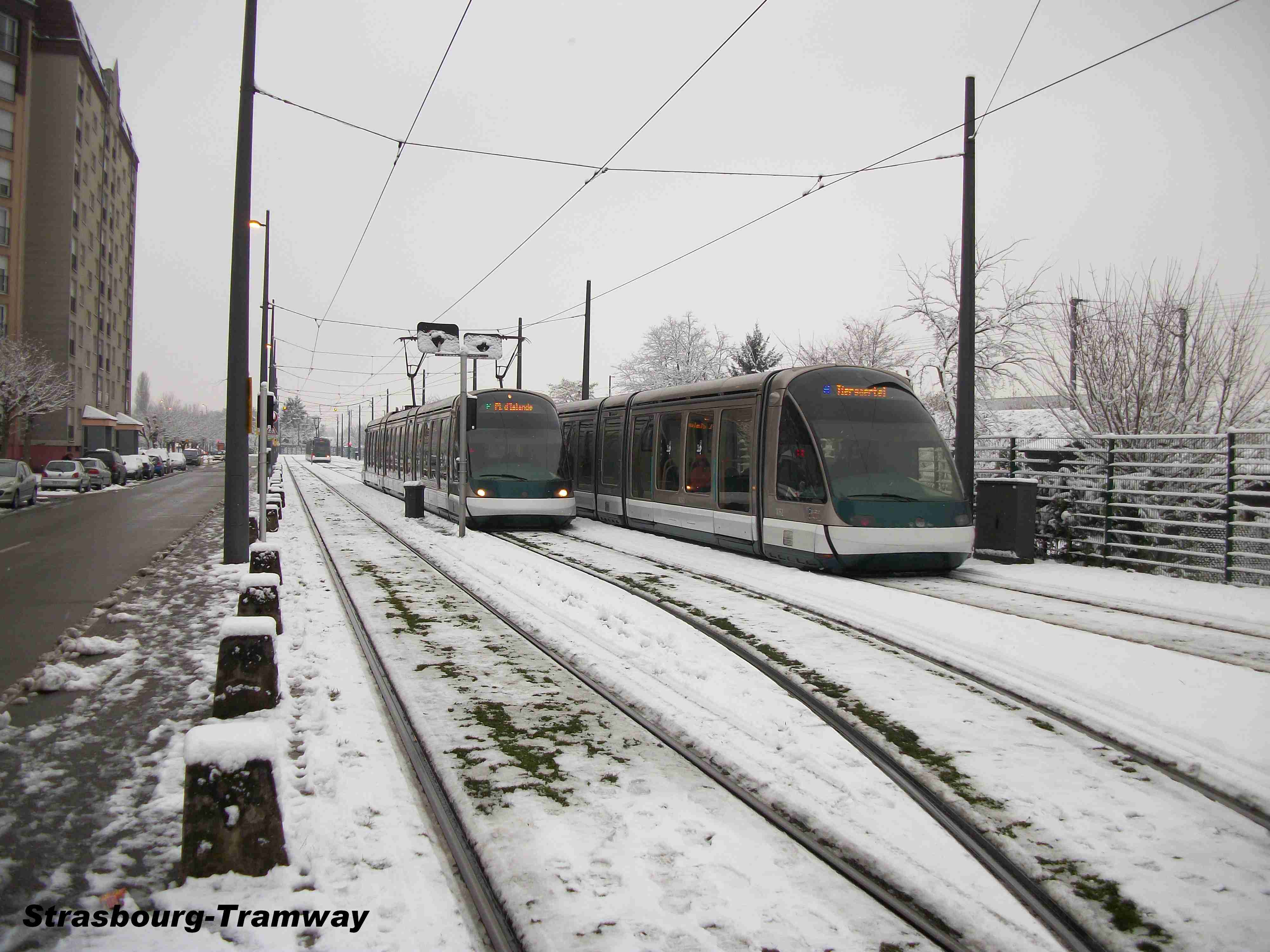L'Eurotram n� 1052 de la ligne B croise un Eurotram de la ligne F � l'arr�t dans la tiroir de rebroussement.