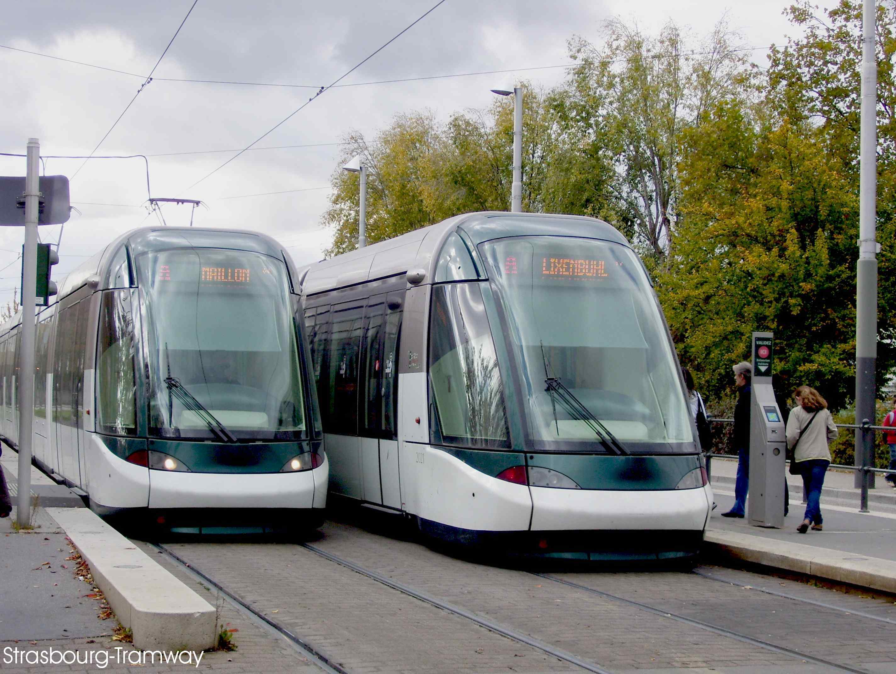 Deux Citadis � quai, dont la 2021 s'appr�tant � partir vers Illkirch Lixenbuhl.