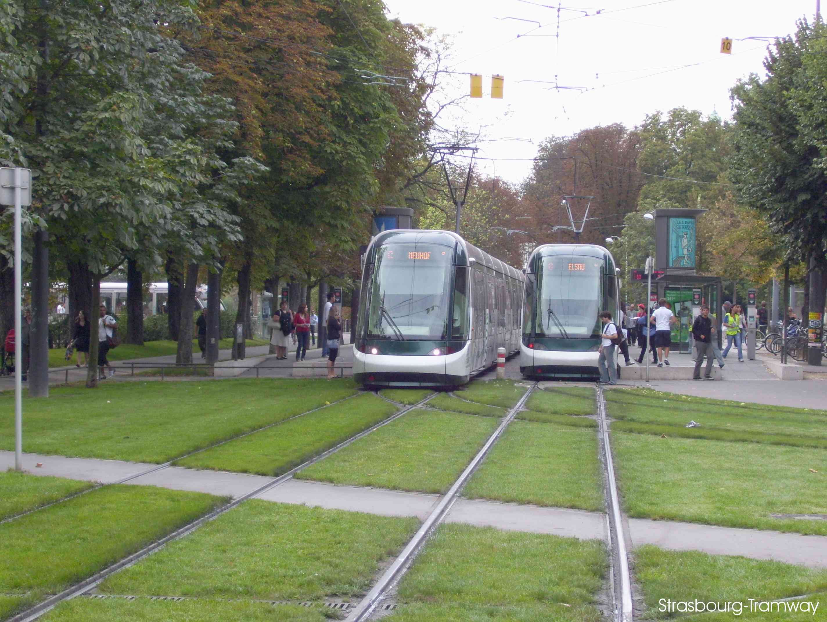 Croisement de deux Citadis.