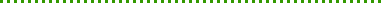 bar03_dot3x3_green_9.gif