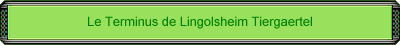 cm_green_15.gif