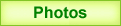 green_hr.gif