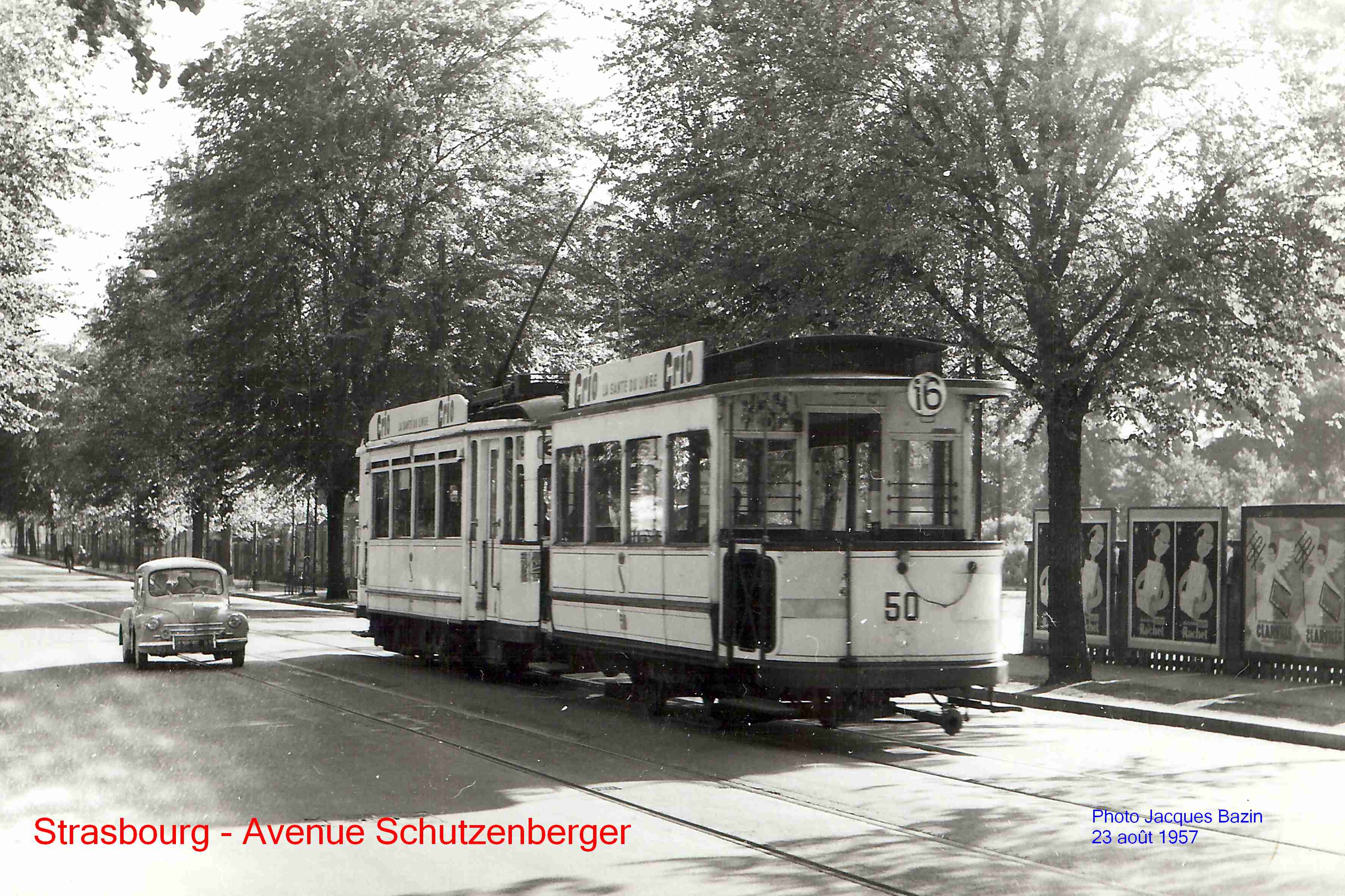 Un tramway de la ligne 16 file vers son terminus du Wacken, Avenue Schutzenberger.