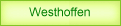 green_hr_2.gif